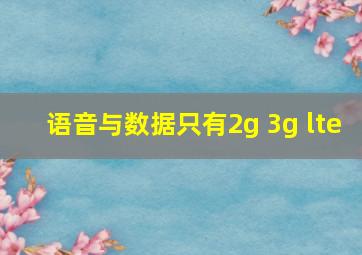 语音与数据只有2g 3g lte